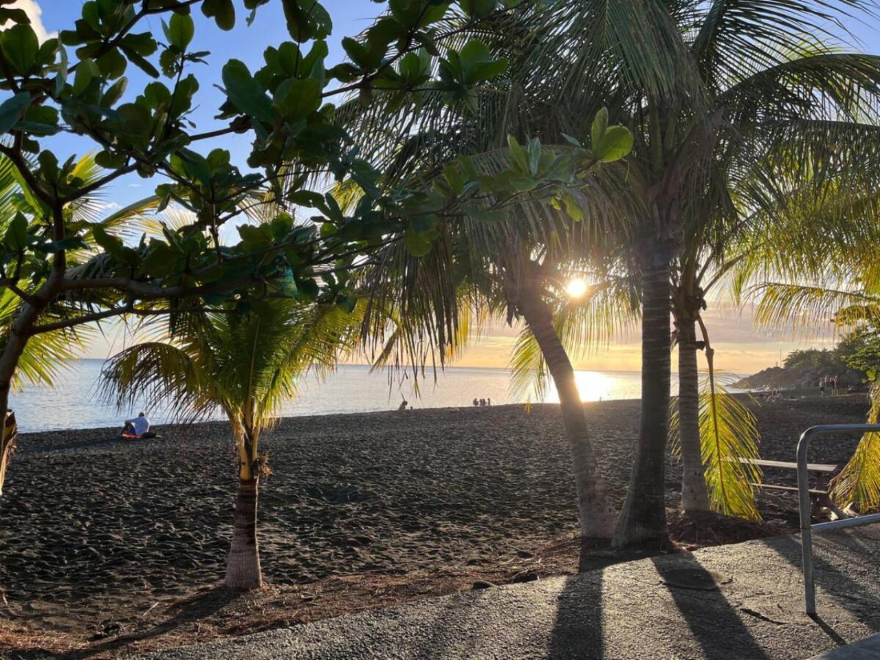 Tropical Golden, Vue Mer Et Plage A 5 Min A Pied Gourbeyre Zewnętrze zdjęcie